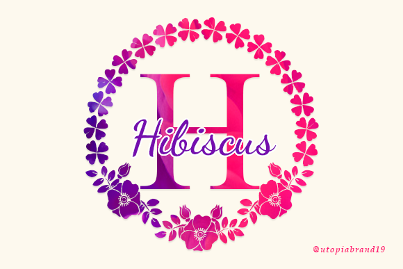 Hibiscus Monogram: Elevate Your Brand Typography