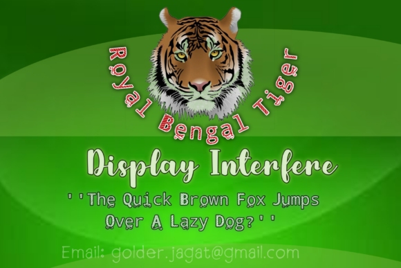 Royal Bengal Tiger Decorative Font for Marketers